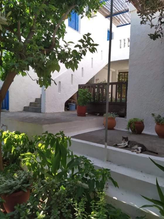Stamoulis Apartments Kampos Marathokampou Экстерьер фото